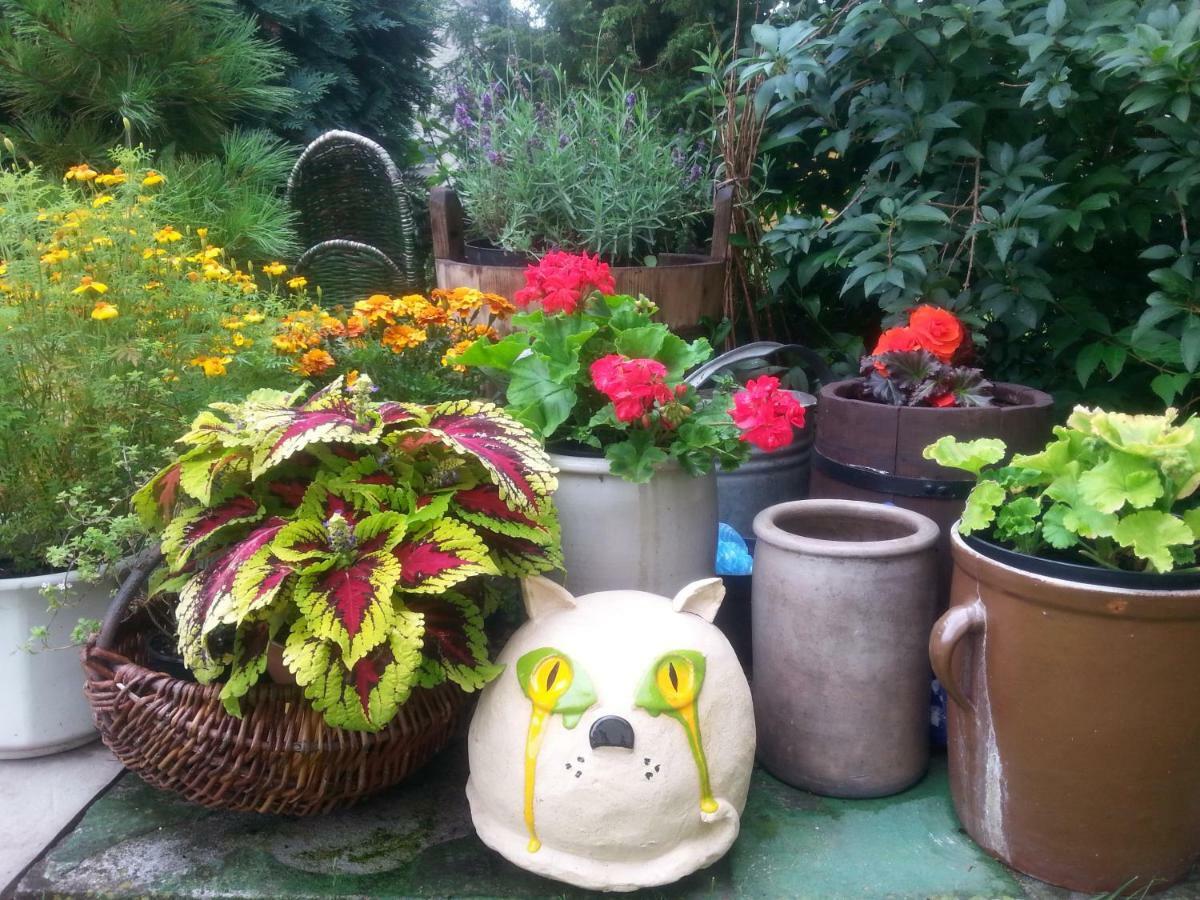 Pokoje Goscinne "Tak Lubisz" Gardna Wielka Buitenkant foto