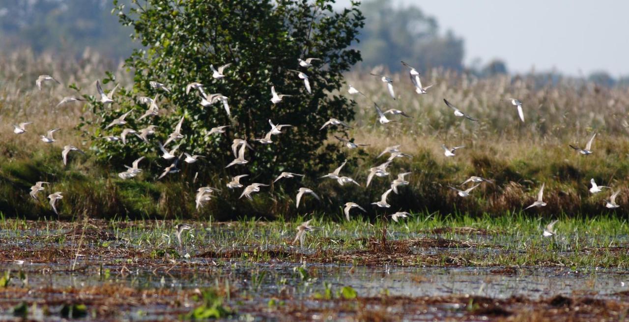 Pokoje Goscinne "Tak Lubisz" Gardna Wielka Buitenkant foto